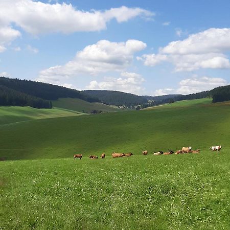 Haus Zum Sternen Apartment Vohrenbach ภายนอก รูปภาพ