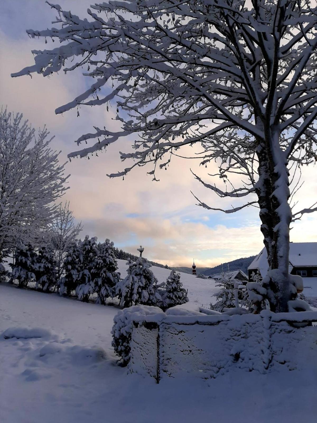 Haus Zum Sternen Apartment Vohrenbach ภายนอก รูปภาพ
