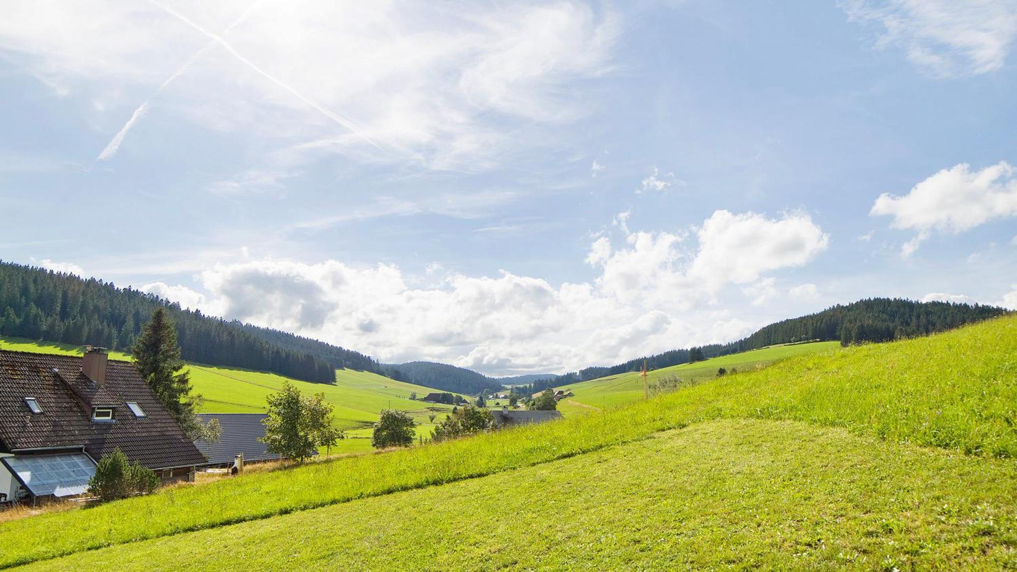 Haus Zum Sternen Apartment Vohrenbach ภายนอก รูปภาพ